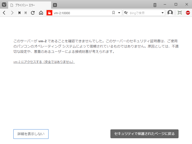 クリックでオリジナルのサイズで開きます 「FreeBSD 12.1 RELEASE」-「Webmin」「ブラウザでアクセス時の警告」「アクセスする」