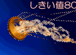 ファジー選択の使い方