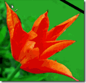 前景抽出選択のツールオプション