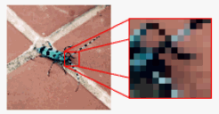 ビットマップとは