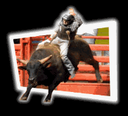 飛び出す写真の作り方