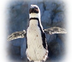 GIMPで写真のぼかしフレームを作ろう