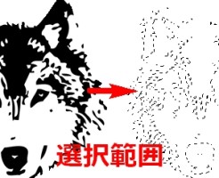 選択範囲の取り方まとめ