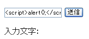 クロスサイトスクリプティング検証：スクリプト入力画面