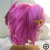 集英社 ペンギン娘ＭＡＸ