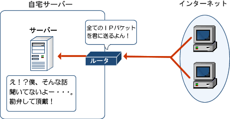 大規模ＤＭＺモデル