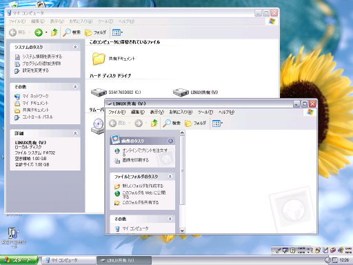 Windows���猩���u�f�[�^���L�̈�v