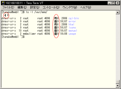 �T�[�o�[�ƃN���C�A���g�̕����Z�b�g����v���Ȃ��ꍇ(TeraTermPro)