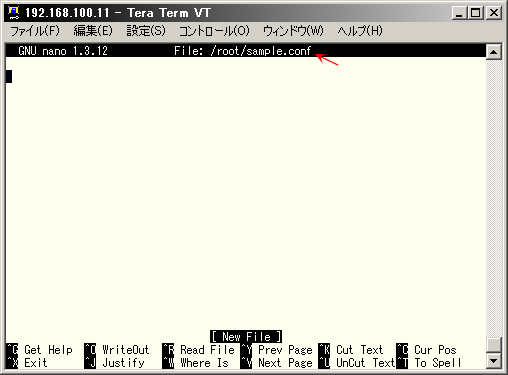 �V�K�̃t�@�C�������w�肵��nao�G�f�B�^���J������