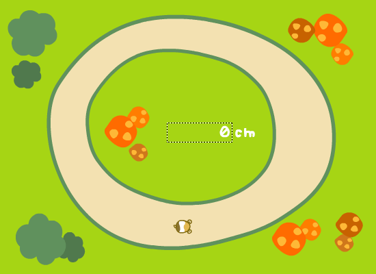 race_course2.gif