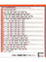 フロントショット事例垂直