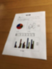 フロントショット事例水平