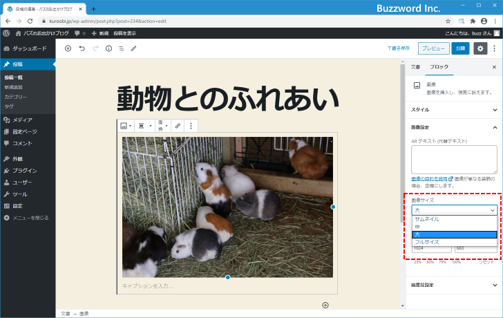 「大」サイズや「中」サイズの画像を作成しない(3)