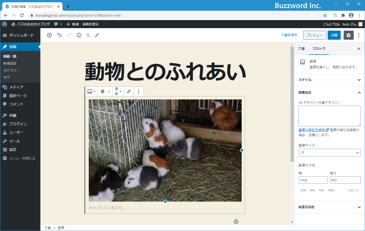 「大」サイズや「中」サイズの画像を作成しない(9)