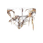 GIMP - "炎"フィルターによる生成例 - 種類 - 極座標 gimp-filter-flame-ex-type-polar_coordinates.jpg