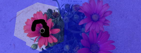 前景抽出選択ツール