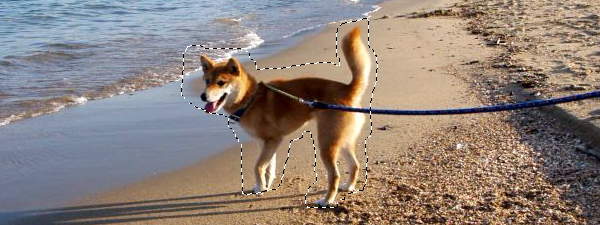 自由選択ツール