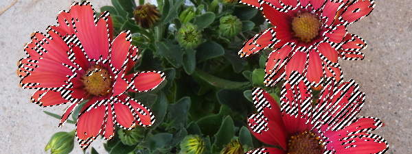 色域選択ツール