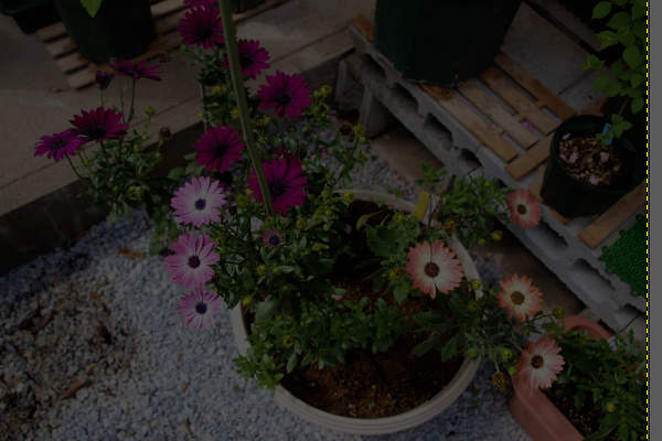 1. 補正前の写真 1. 補正前の写真