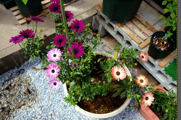 7. 補正後の写真 7. 補正後の写真