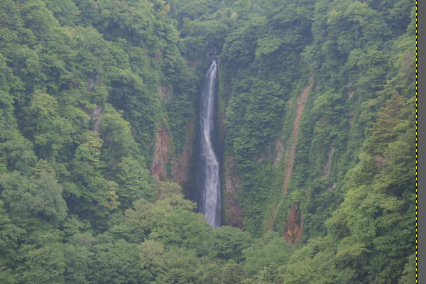 1. 補正前の写真