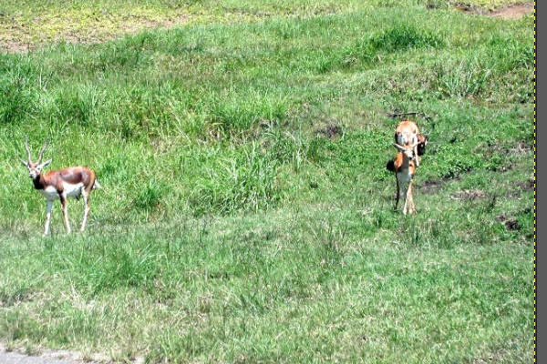 2. 合成先の写真を開く 2. 合成先の写真を開く