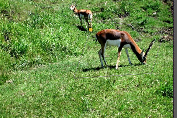 5. クリックの結果 5. クリックの結果