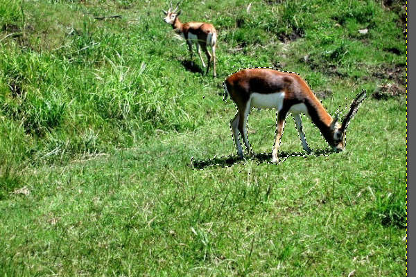 14. 選択完了 14. 選択完了