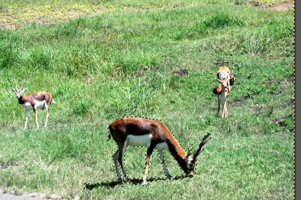 32. 選択範囲の境界の色が馴染む 32. 選択範囲の境界の色が馴染む