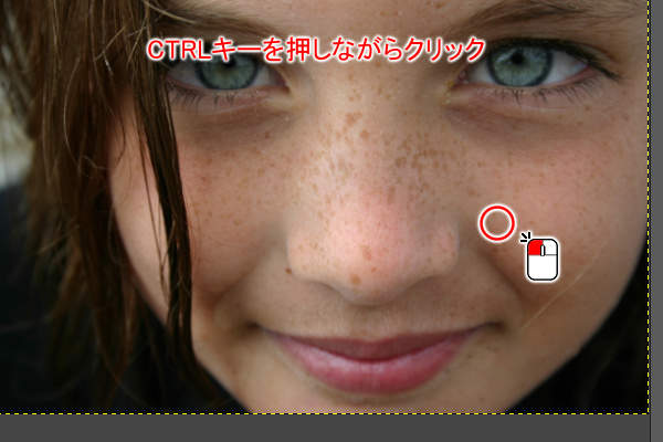 3. 転写元を指定