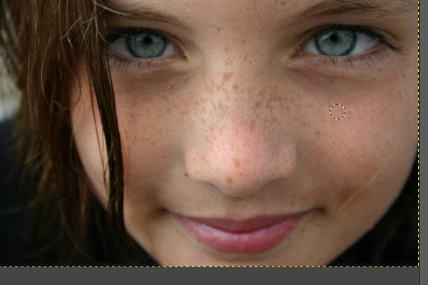 12. 転写元が確定