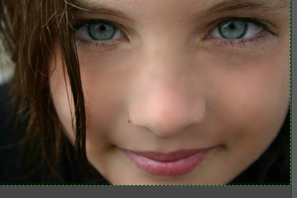 27. ブラシツールで塗る