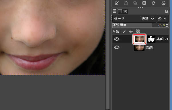 30. 選択されたレイヤ