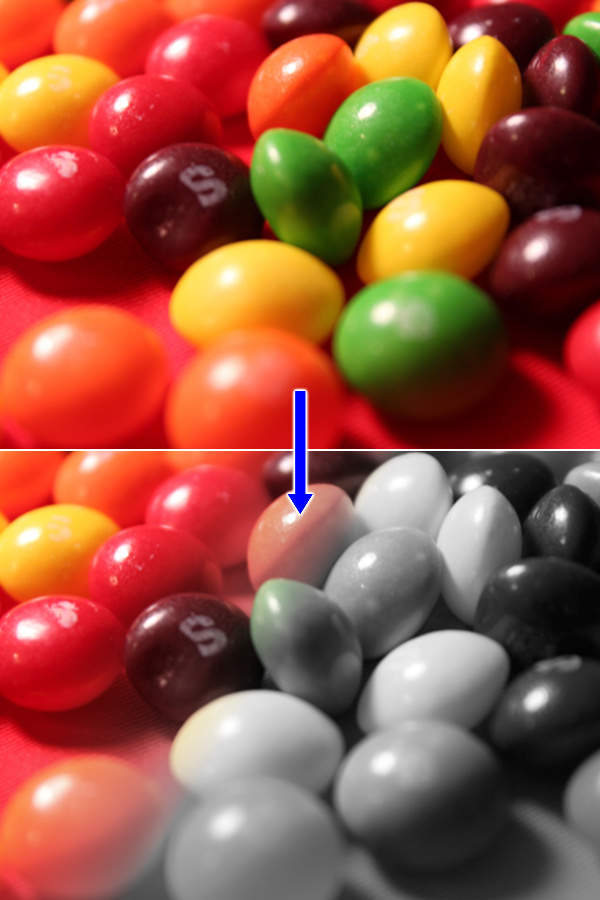 13. 加工前と加工後の写真