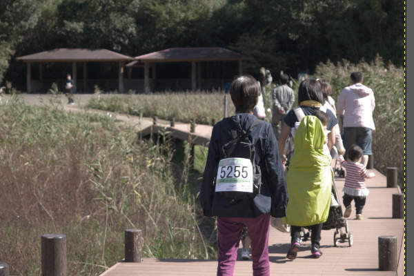 1. 補正前の写真 1. 補正前の写真