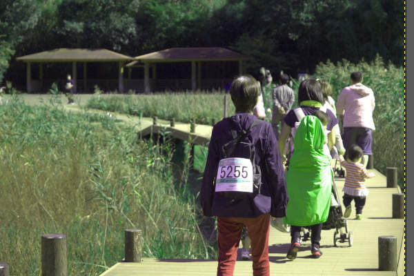 6. 補正後の写真 6. 補正後の写真