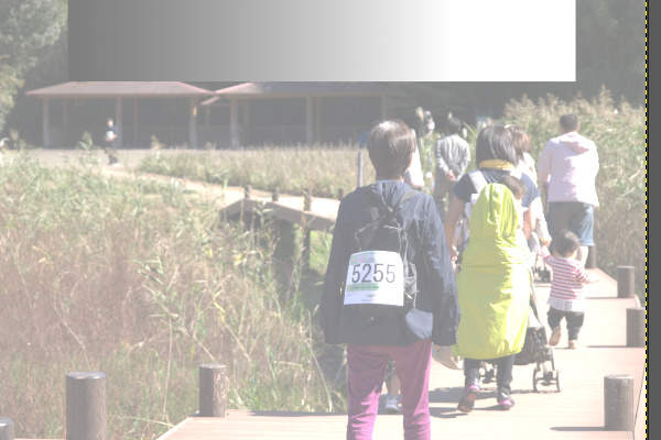 20. 補正後の画像