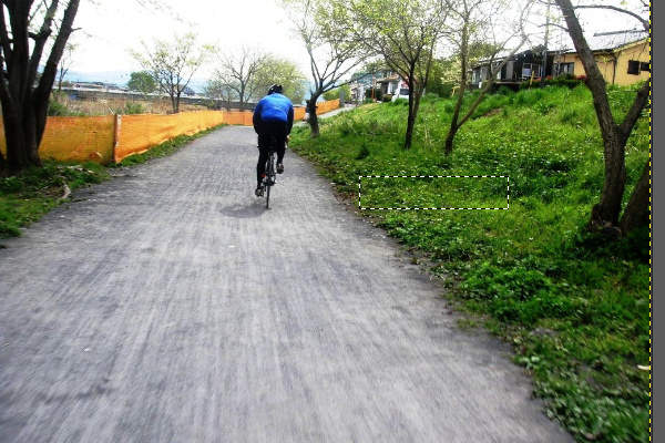 4. 反転後の画像 4. 反転後の画像