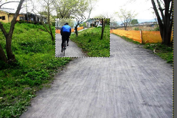 5. 反転後の画像 5. 反転後の画像