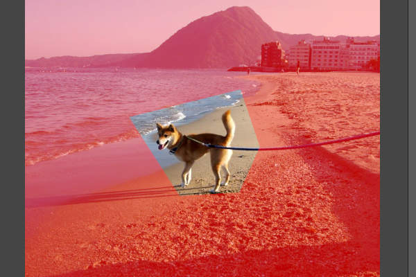 8. チャンネルの内容