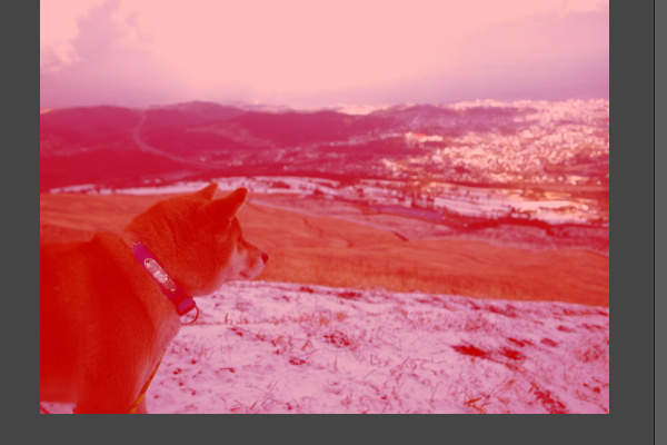 3. チャンネルの内容