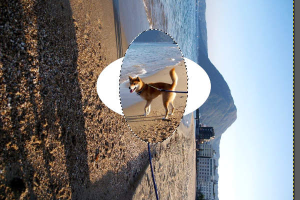 7. 回転後の画像