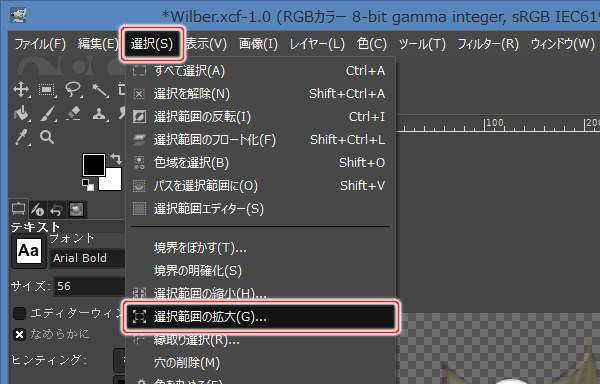 4. 編集(S) -> 選択範囲の拡大(G)...を実行