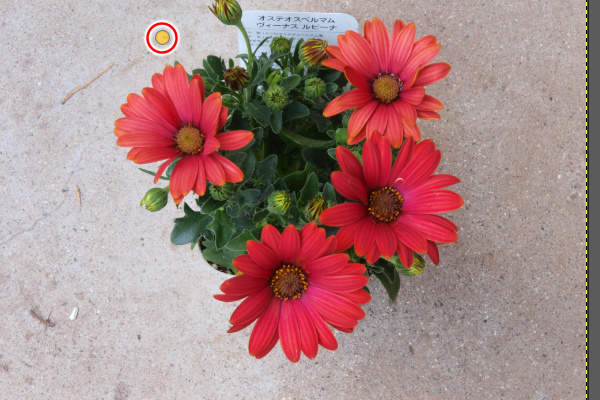 4. 制御点が作成される