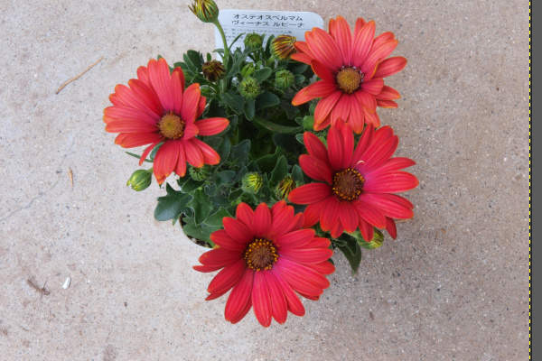 10. 範囲選択を解除