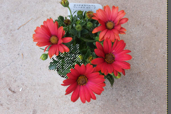 16. 囲みが狭まる