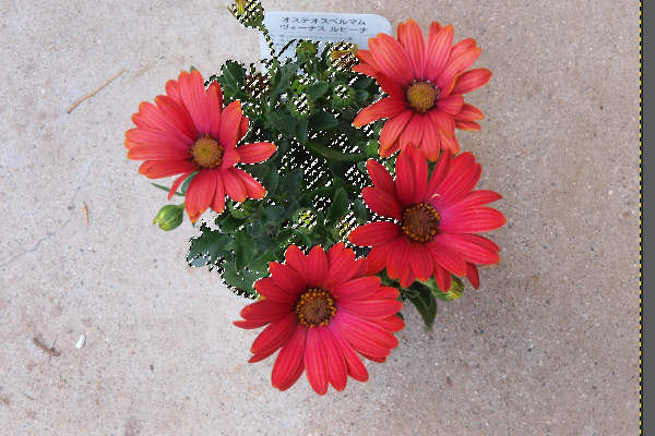 17. 連続する類似色が選択される