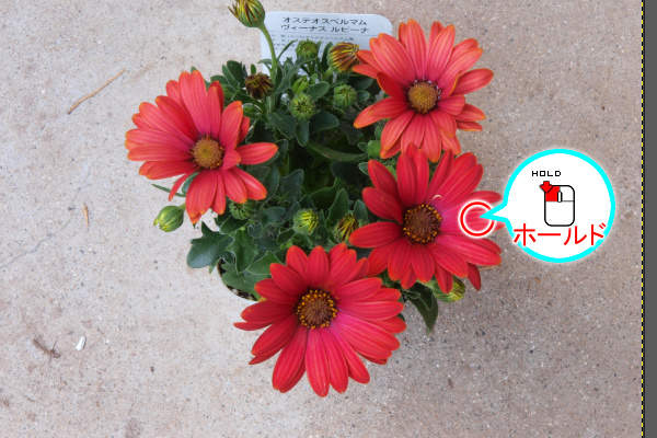 3. 赤色の場所からドラッグ開始