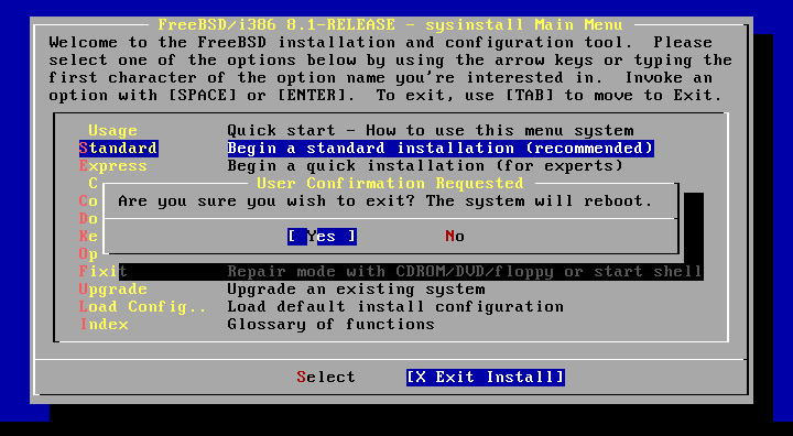 インストール風景