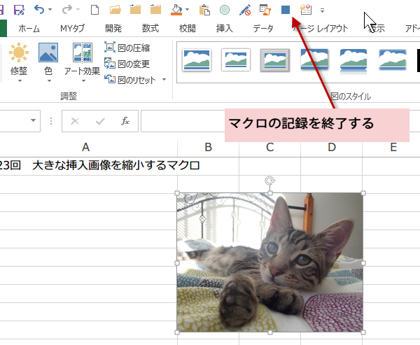 �摜�k���}�N��